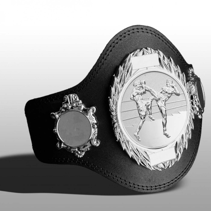THAI BOXING TITLE BELT - PLT286/S/TBOS-4 COLOURS